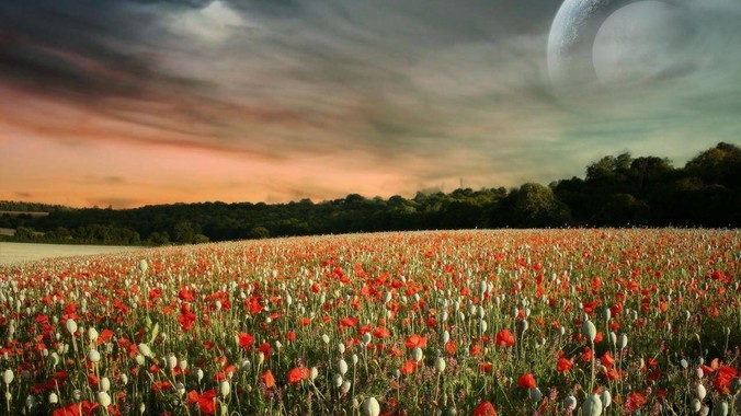 banner1